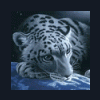 Качественный Эфир - Iptv/dvb-T2/sat? - последнее сообщение от NiberiYa